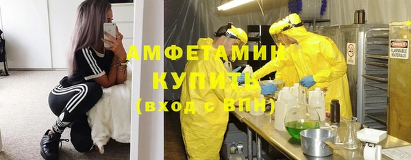 гидра Липки